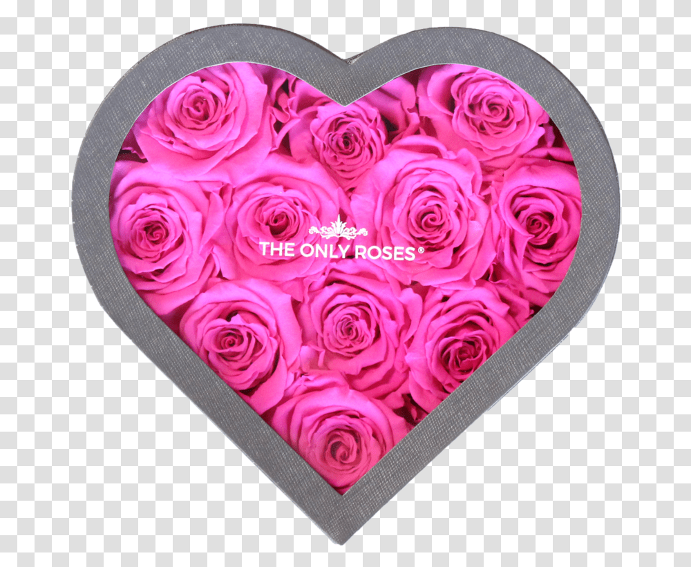 Heart, Rose, Flower, Plant, Blossom Transparent Png
