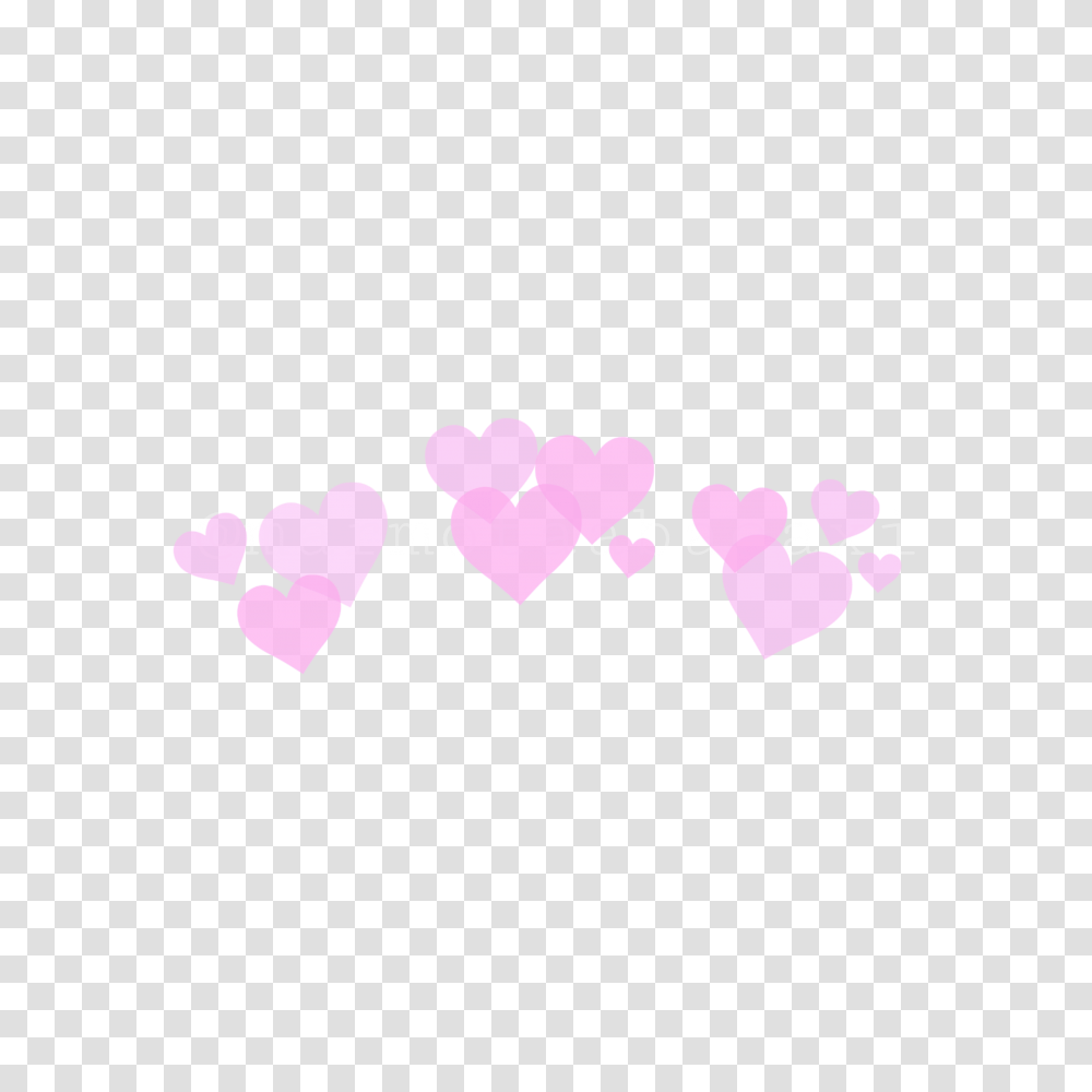 Heart Snapchat Filter, Petal, Flower, Plant, Blossom Transparent Png