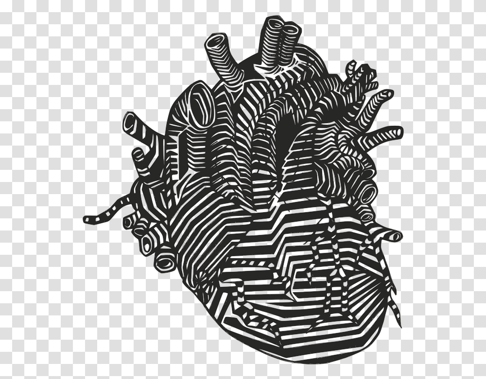 Heart Veins Arteries Free Vector Graphic On Pixabay Real Heart Vector, Water, Cross, Symbol, Outdoors Transparent Png