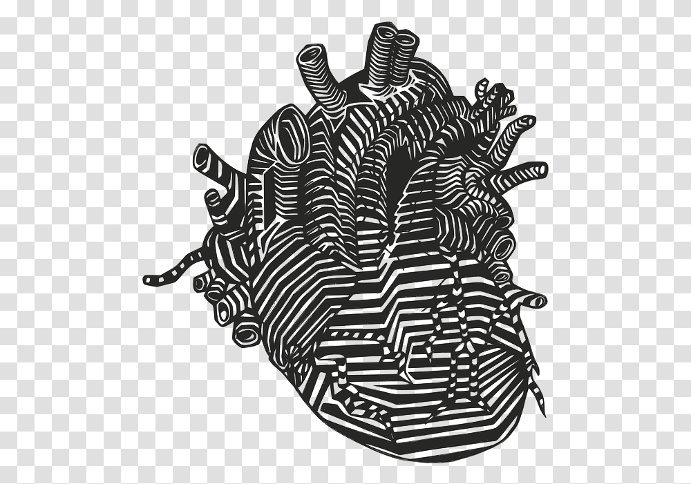 Heart Veins Arteries Human Heart Drawn, Soil, Water Transparent Png