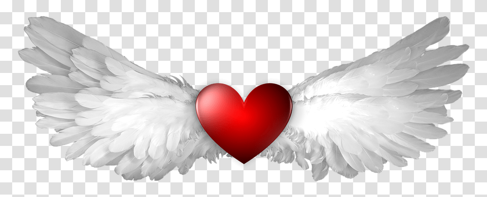 Heart Wing Wings Winged Shape Heaven Heavenly Ange Clip Angelic Hearts, Bird, Animal, Cushion, Crane Bird Transparent Png