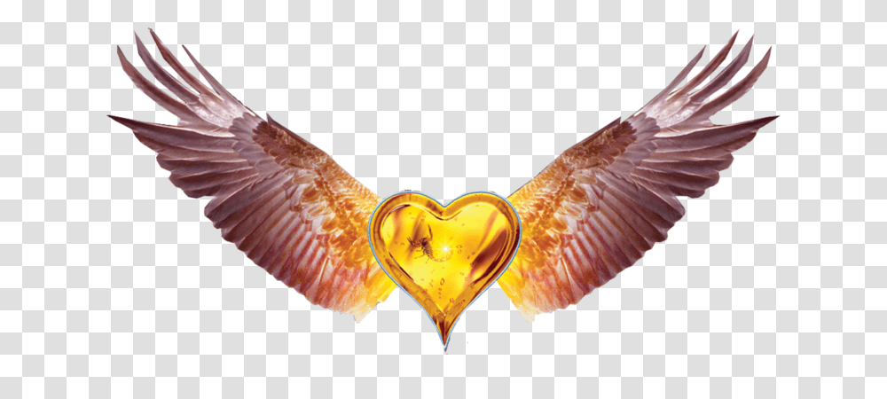 Heart With Wings Black Heart With Wings 5502406 Black Heart With Wings, Bird, Animal, Fish, Goldfish Transparent Png