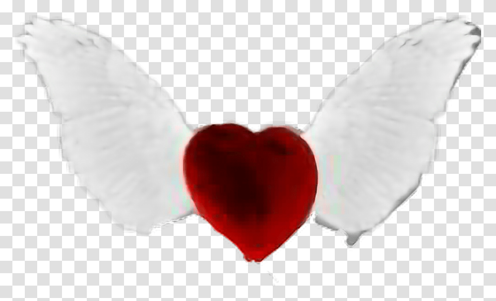 Heart With Wings Clipart Angel Heart, Petal, Flower, Plant, Blossom Transparent Png