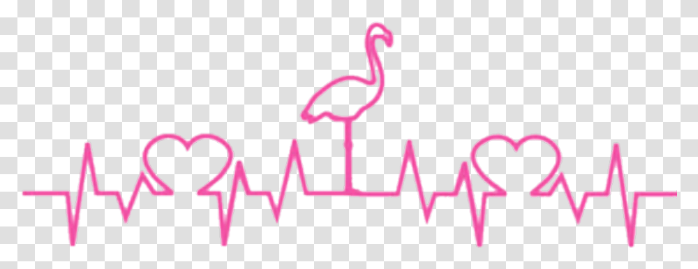 Heartbeat Flamingo Hearts Pink Heartbeat Line Cat Svg, Bird Transparent Png