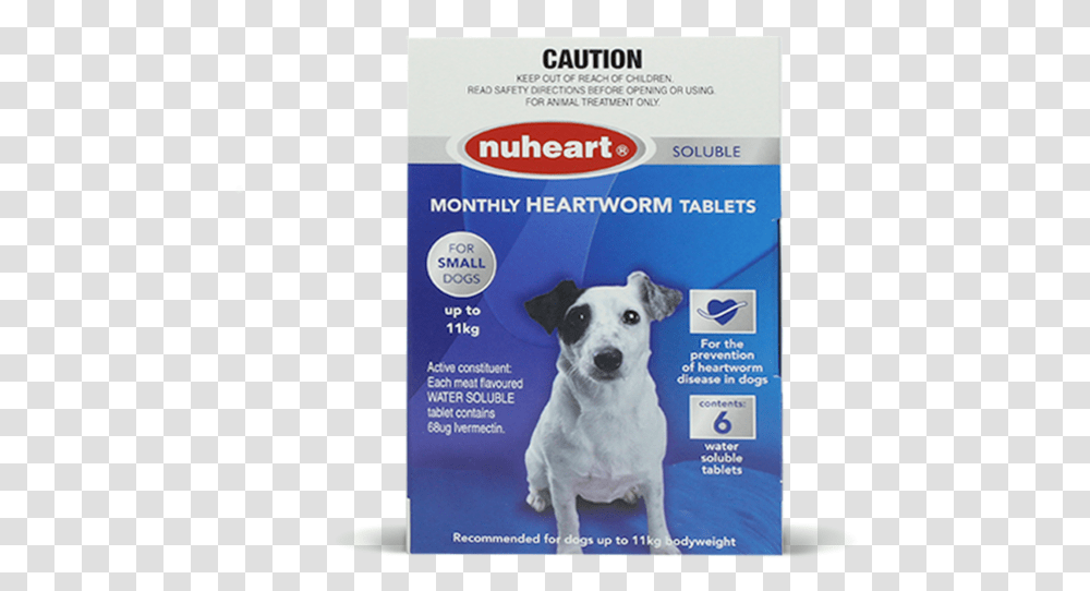 Heartgard Generic, Dog, Mammal, Strap, Flyer Transparent Png