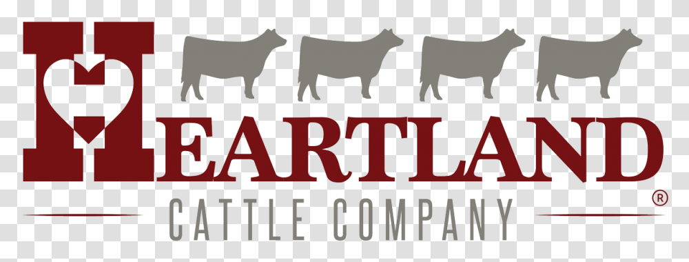 Heartland Cattle Company, Alphabet, Label, Mammal Transparent Png