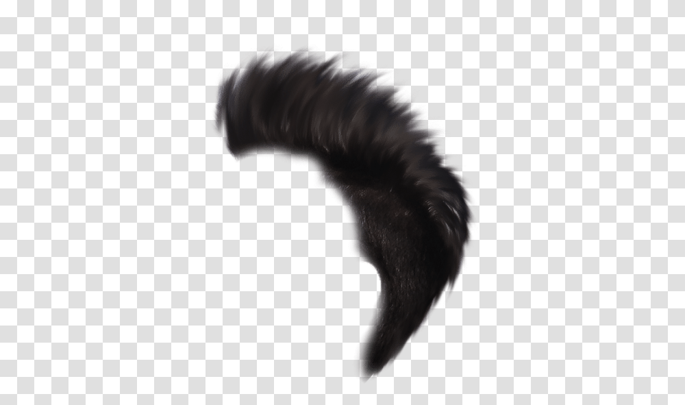 Heartless Editing Millipedes, Nature, Outdoors, Dog, Moon Transparent Png