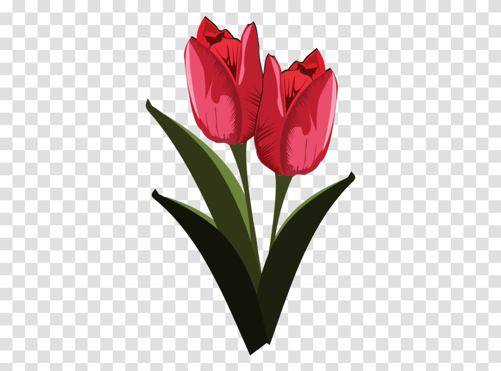 Heartplantflower Clipart Royalty Free Svg Tulip Clip Art, Blossom, Petal, Carnation Transparent Png