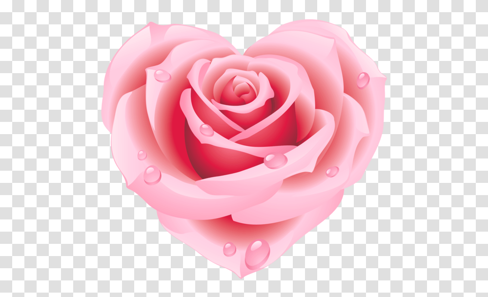 Hearts Pink Roses Heart, Flower, Plant, Blossom, Petal Transparent Png
