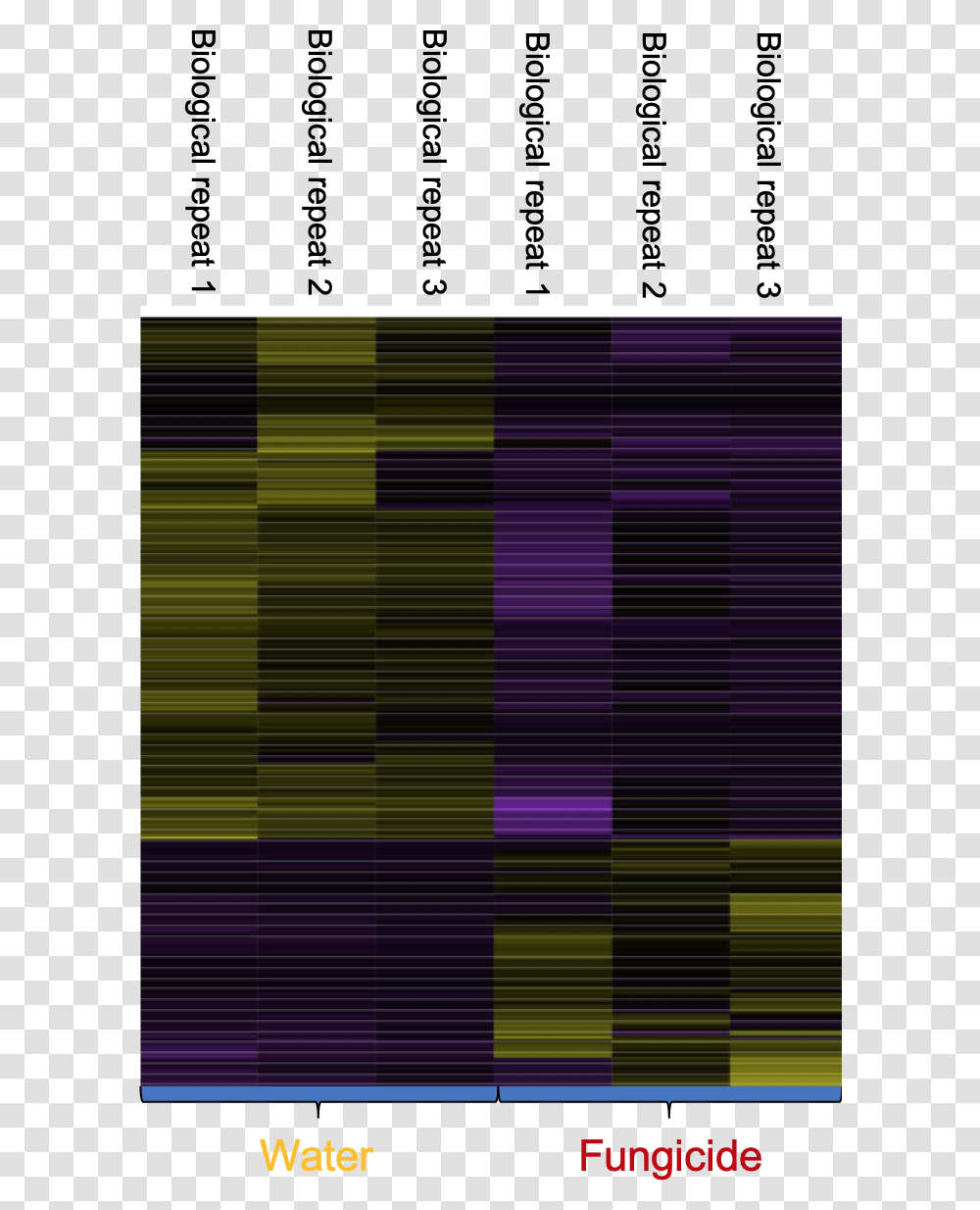Heat Map With Genes Turned On Or Off Purple, Tartan, Plaid, Pattern, Texture Transparent Png