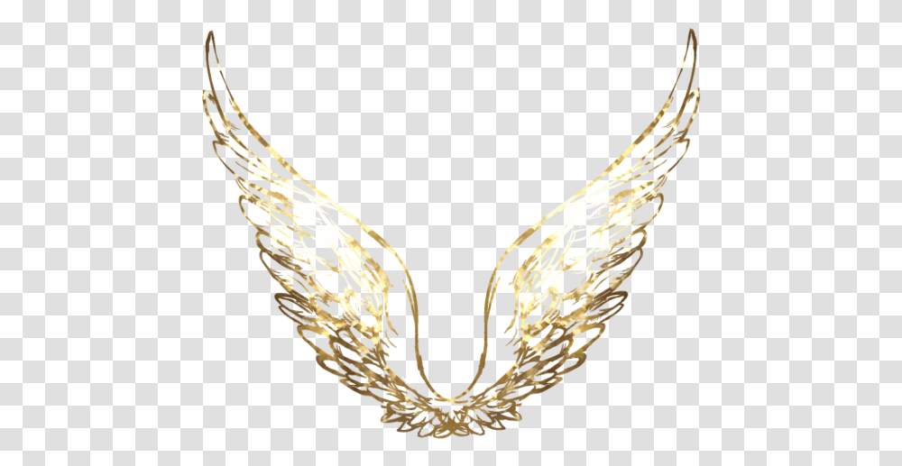 Heaven Angel Wings, Snake, Reptile, Animal, Bird Transparent Png