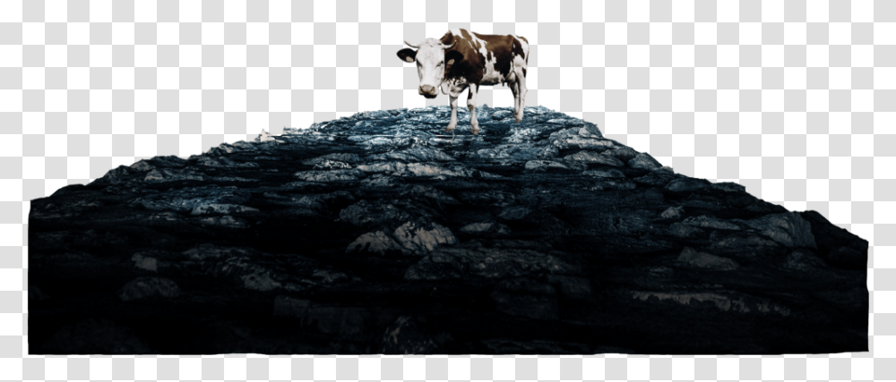 Heavens Cow Rocks Only Dairy Cow, Cattle, Mammal, Animal, Bull Transparent Png