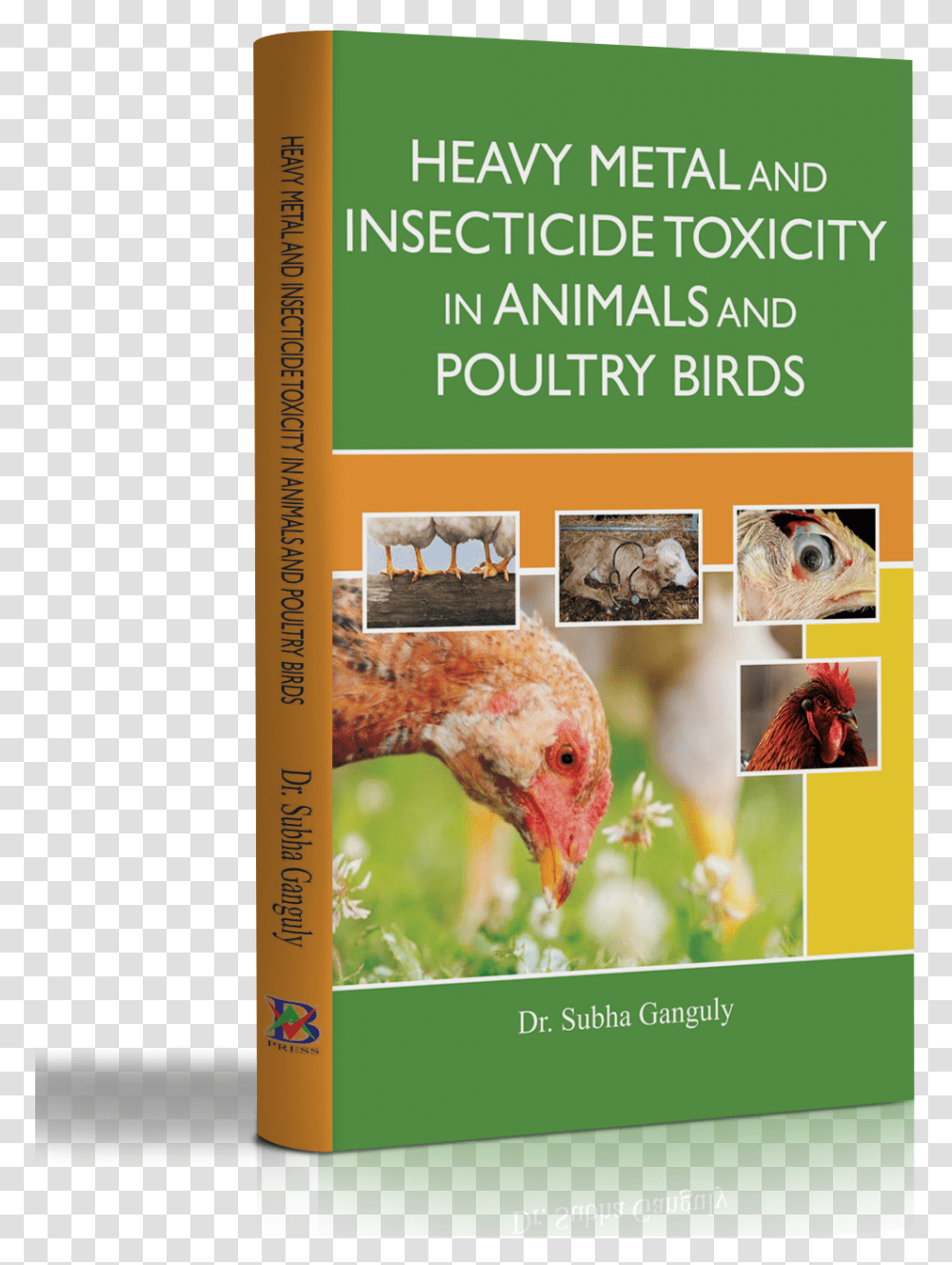 Heavy Metal And Insecticide Toxicity In Animals And Flyer, Poster, Advertisement, Bird, Paper Transparent Png
