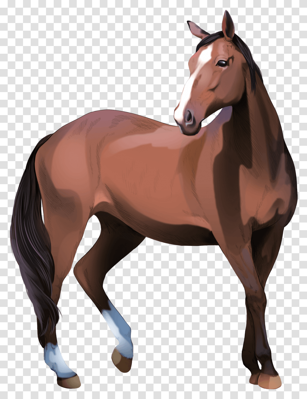 Heavy Warmblood Mare Clipart Animal Figure, Colt Horse, Mammal, Foal, Stallion Transparent Png