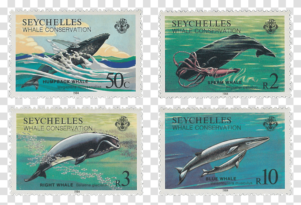 Hector Dolphin Post Stamp, Postage Stamp, Bird, Animal, Fish Transparent Png