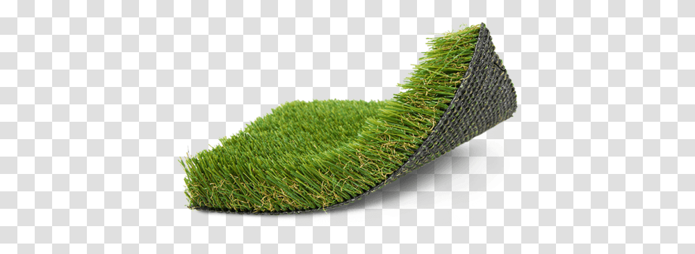 Hedge, Grass, Plant, Snake, Reptile Transparent Png