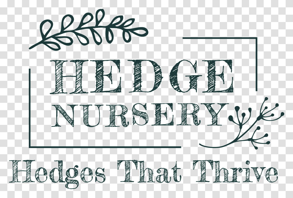 Hedge Nursery Calligraphy, Poster, Advertisement, Handwriting Transparent Png