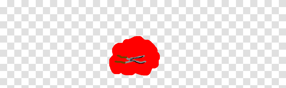 Hedge Trimmers Lay Over Puddle Of Blood Drawing, Plant, Flower, Blossom, Petal Transparent Png