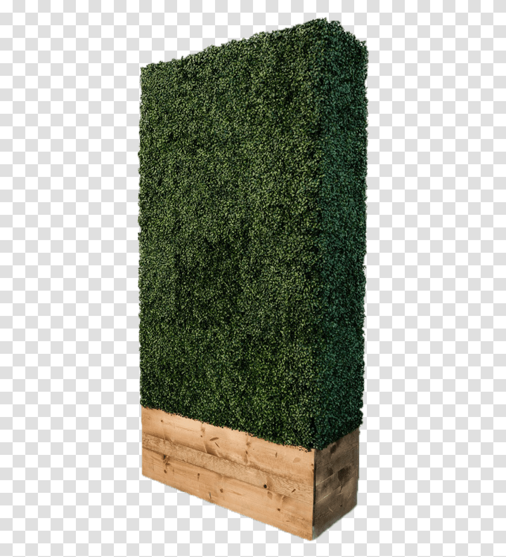 Hedge Wall Hedge, Moss, Plant, Rug, Vegetation Transparent Png