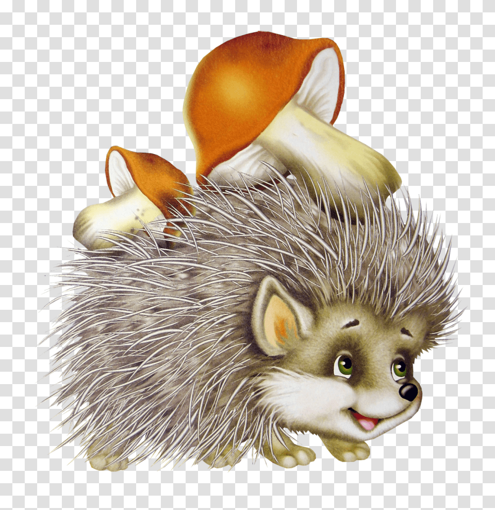 Hedgehog, Animals, Mammal, Cat, Pet Transparent Png