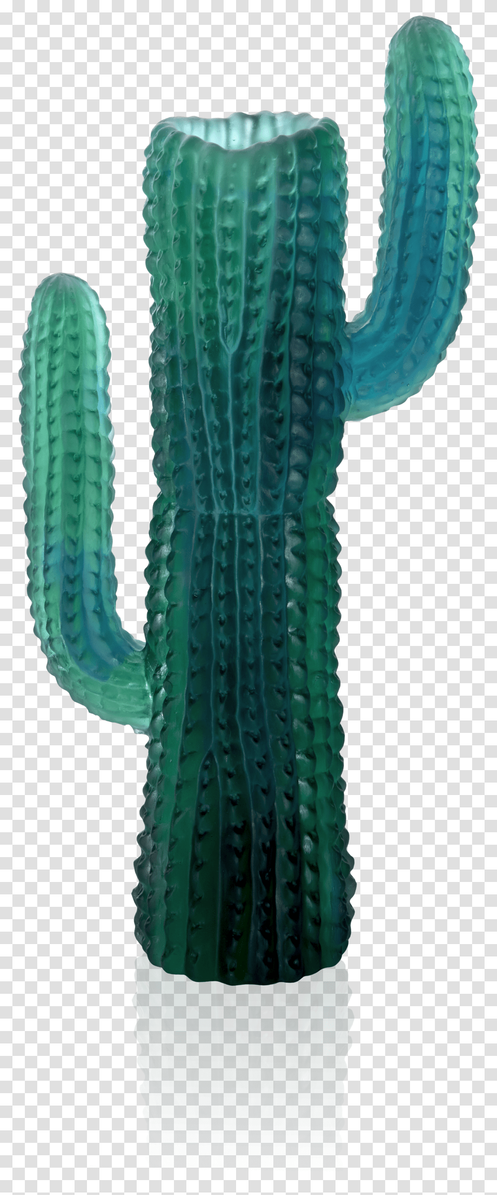 Hedgehog Cactus Transparent Png