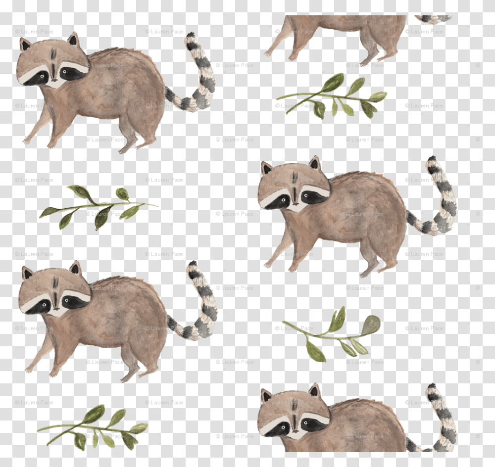 Hedgehog Cute Backgrounds Watercolor Racoon Watercolor Kids, Mammal, Animal, Raccoon, Wildlife Transparent Png