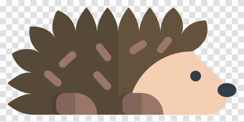 Hedgehog, Face, Skin, Wood Transparent Png