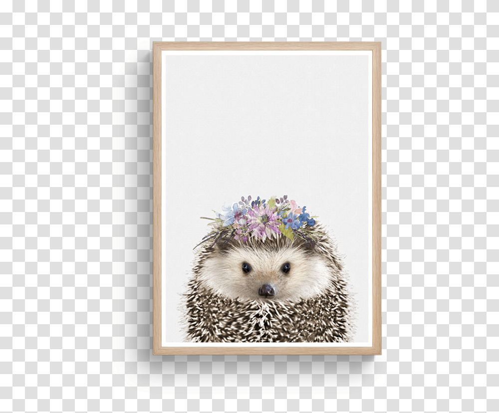 Hedgehog Floral 2Class Lazyload Lazyload Fade In Domesticated Hedgehog, Mammal, Animal, Porcupine, Rodent Transparent Png