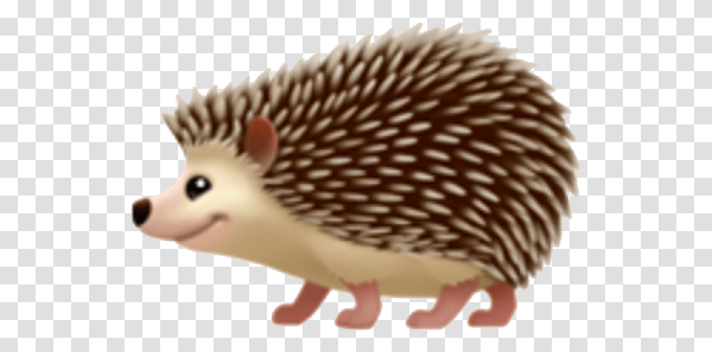 Hedgehog Free Pic Hedgehog Emoji Apple, Mammal, Animal, Porcupine, Rodent Transparent Png
