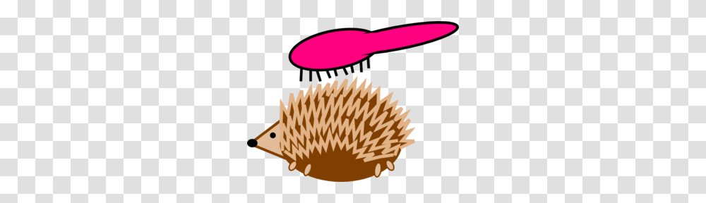 Hedgehog Hairbrush Clip Art, Tool, Animal, Mammal, Photography Transparent Png