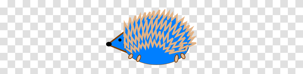 Hedgehog Images Icon Cliparts, Sport, Sports, Drum, Percussion Transparent Png