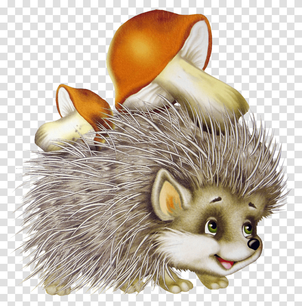 Hedgehog Picture Background, Mammal, Animal, Cat, Pet Transparent Png