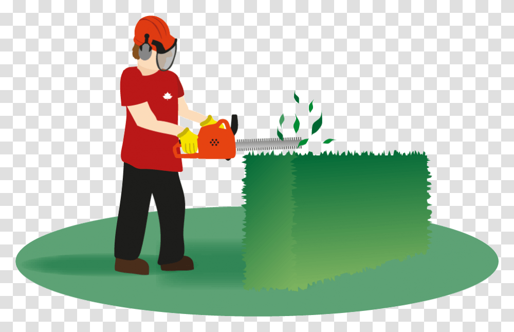 Hedges Clipart Hedge Trimming Hedging Clipart, Person, Human, Tool, Handsaw Transparent Png