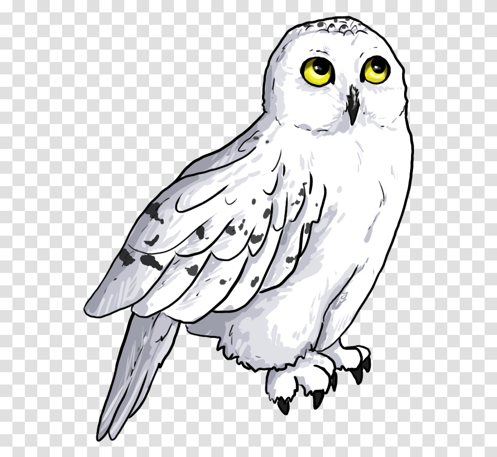 Hedwig 2 Image Hedwig, Bird, Animal, Owl, Beak Transparent Png