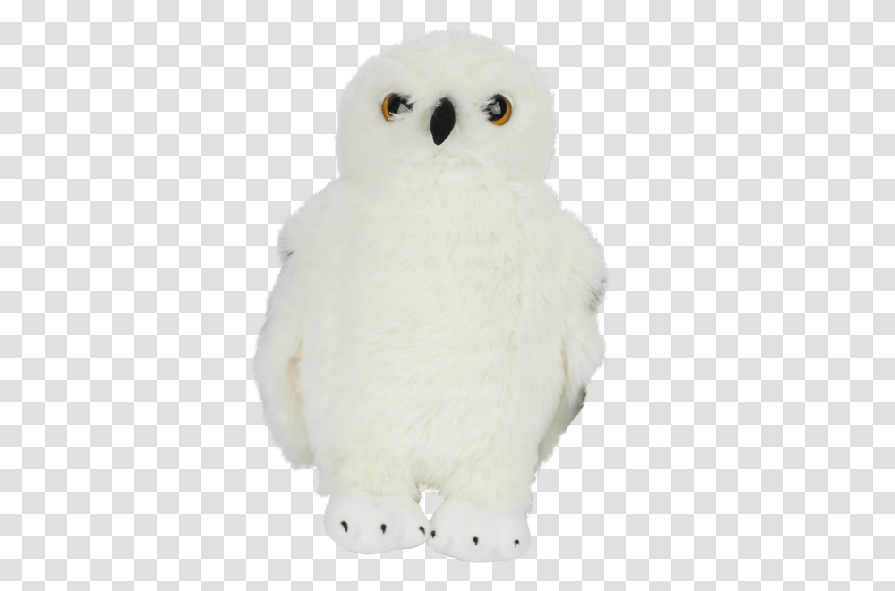 Hedwig Toys, Animal, Bird, Snowman, Winter Transparent Png