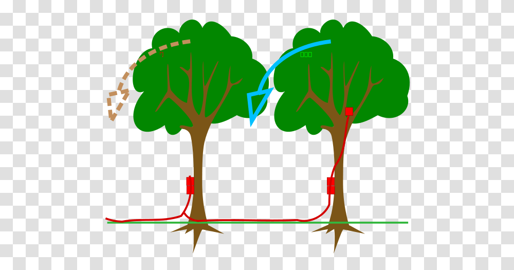 Heel Kick Clip Arts For Web, Green, Plant, Soil, Root Transparent Png