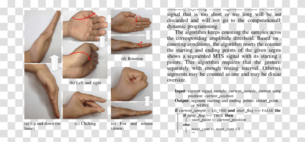 Heel, Person, Human, Hand, Wrist Transparent Png