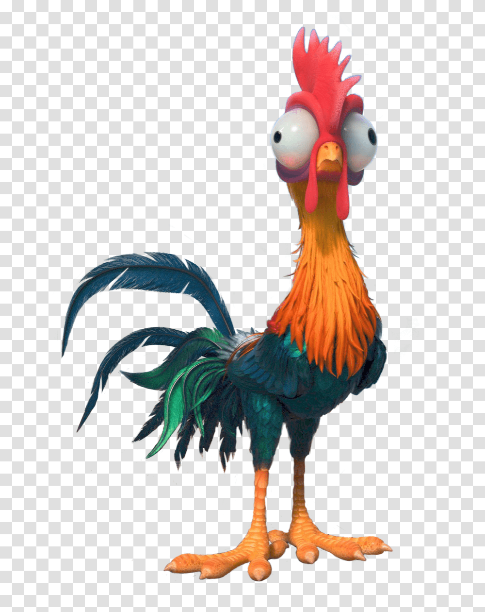 Hei Hei, Animal, Bird, Fowl, Poultry Transparent Png