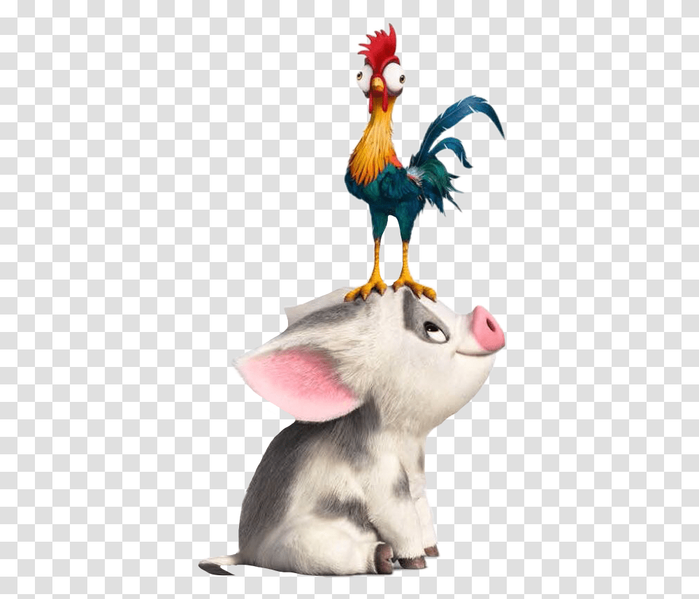 Hei Hei The Rooster Moana The Walt Disney Company Film Pua And Hei Hei, Animal, Bird, Fowl, Poultry Transparent Png