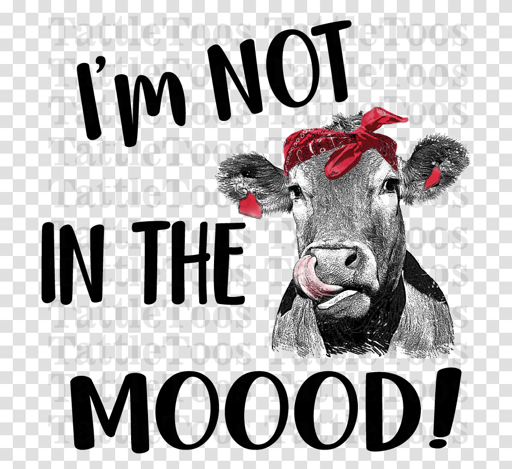 Heifer Don't Take No Bull, Cow, Cattle, Mammal, Animal Transparent Png