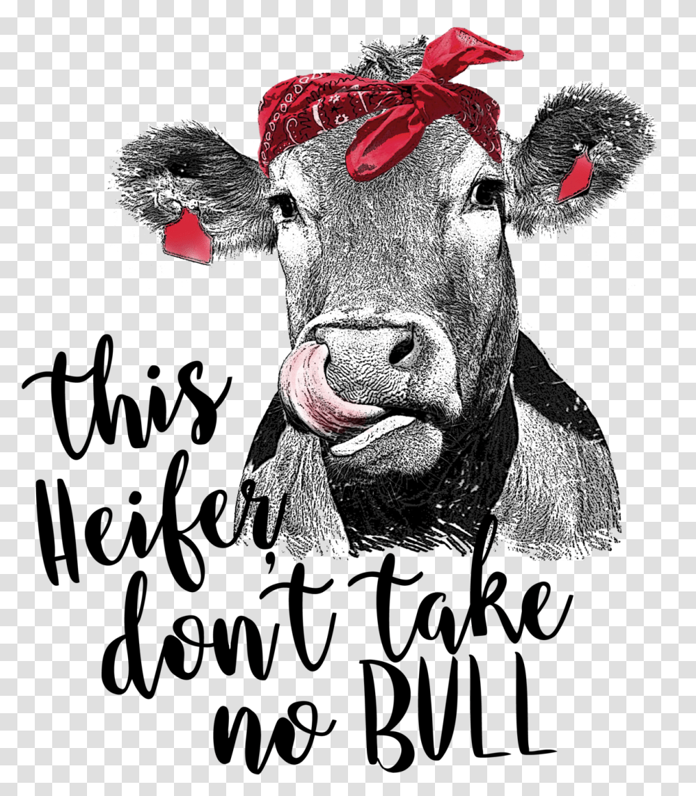 Heifer Don't Take No Bull, Cow, Cattle, Mammal, Animal Transparent Png