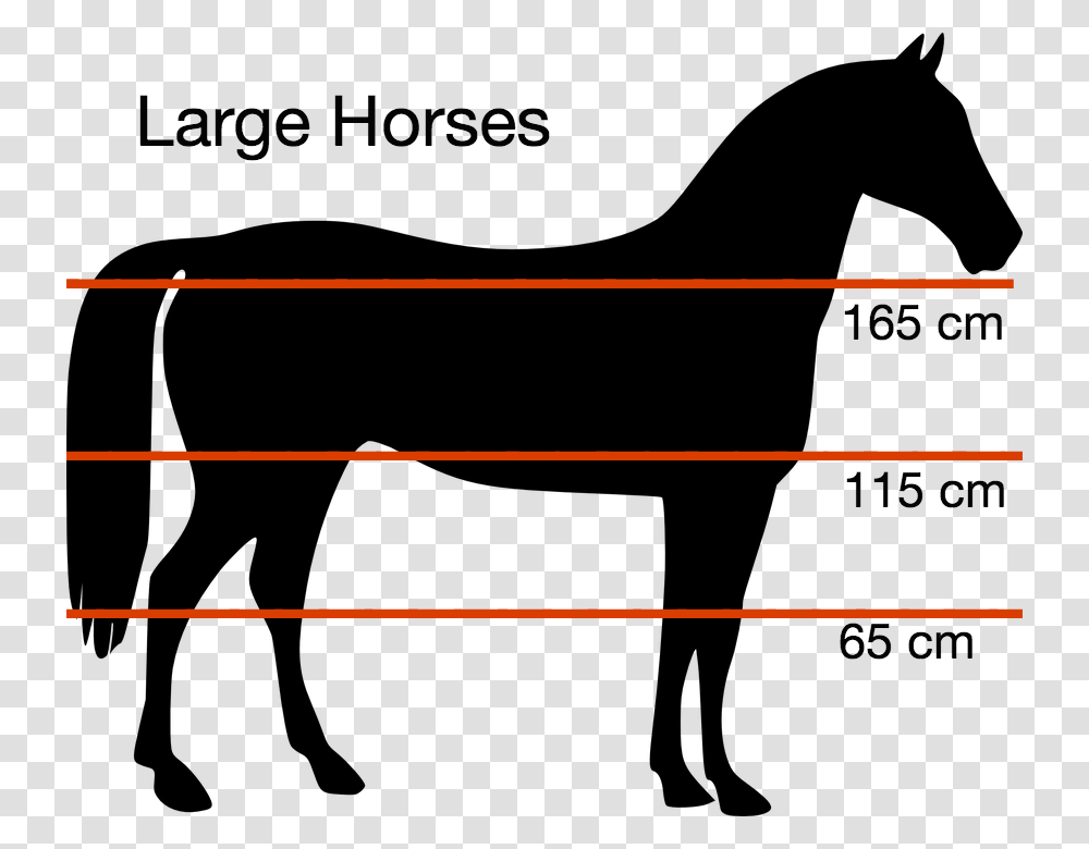 Height Free Horse Silhouette, Leisure Activities, Outdoors, Plant Transparent Png