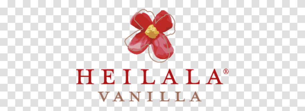 Heilala Vanilla, Plant, Alphabet, Flower Transparent Png