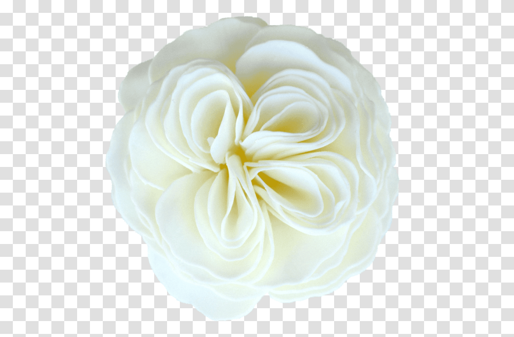 Heirloom Garden Rose Soap Flower Garden Roses, Plant, Blossom, Accessories, Accessory Transparent Png