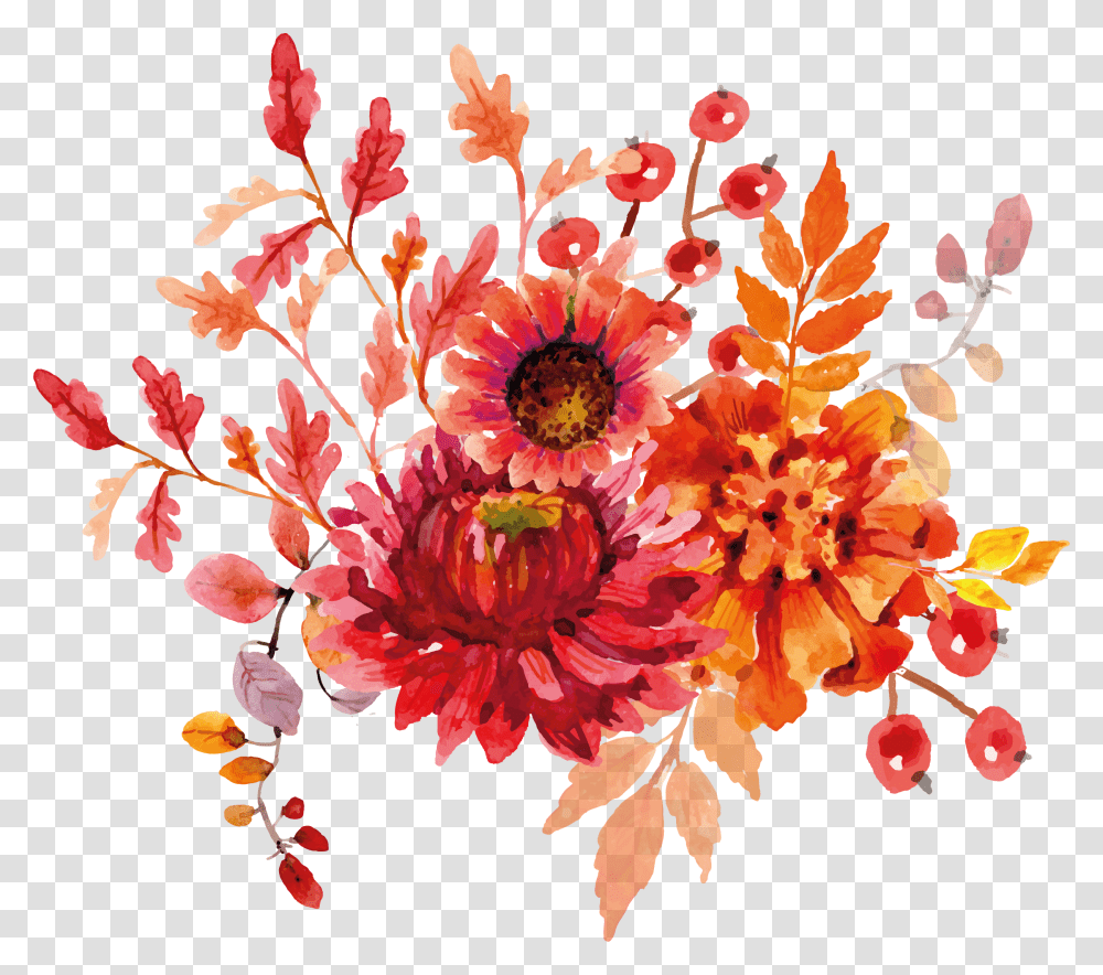 Helen Ashley Free Flowers Watercolor Orange Watercolor Flowers, Plant, Floral Design Transparent Png
