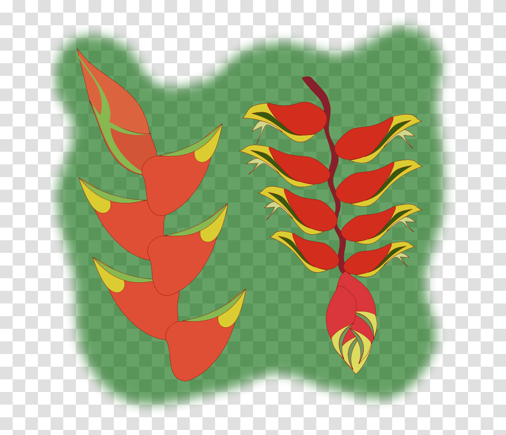 Heliconia Flower, Nature, Plant, Painting Transparent Png