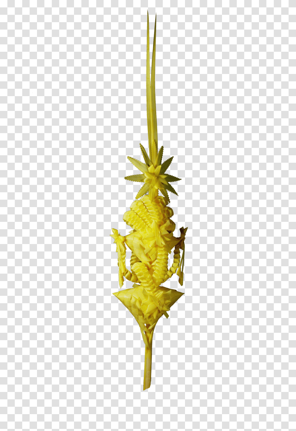 Heliconia, Plant, Tree, Arrowhead Transparent Png