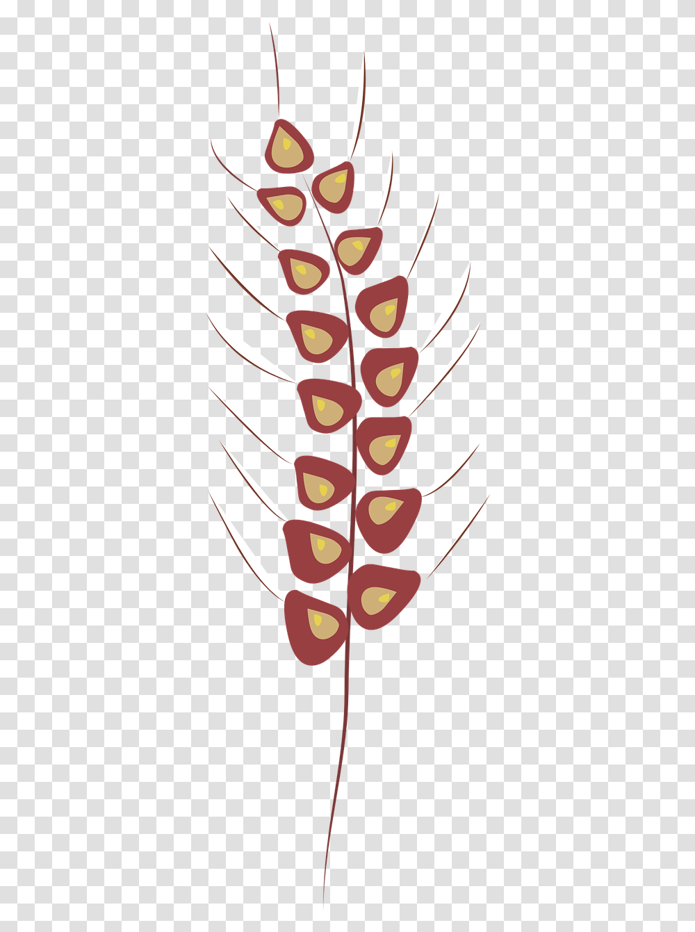 Heliconia, Plant, Tree, Seed, Grain Transparent Png