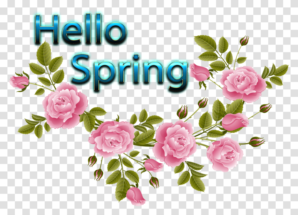 Hello Spring Clipart Hello Spring Clipart, Plant, Floral Design, Pattern Transparent Png