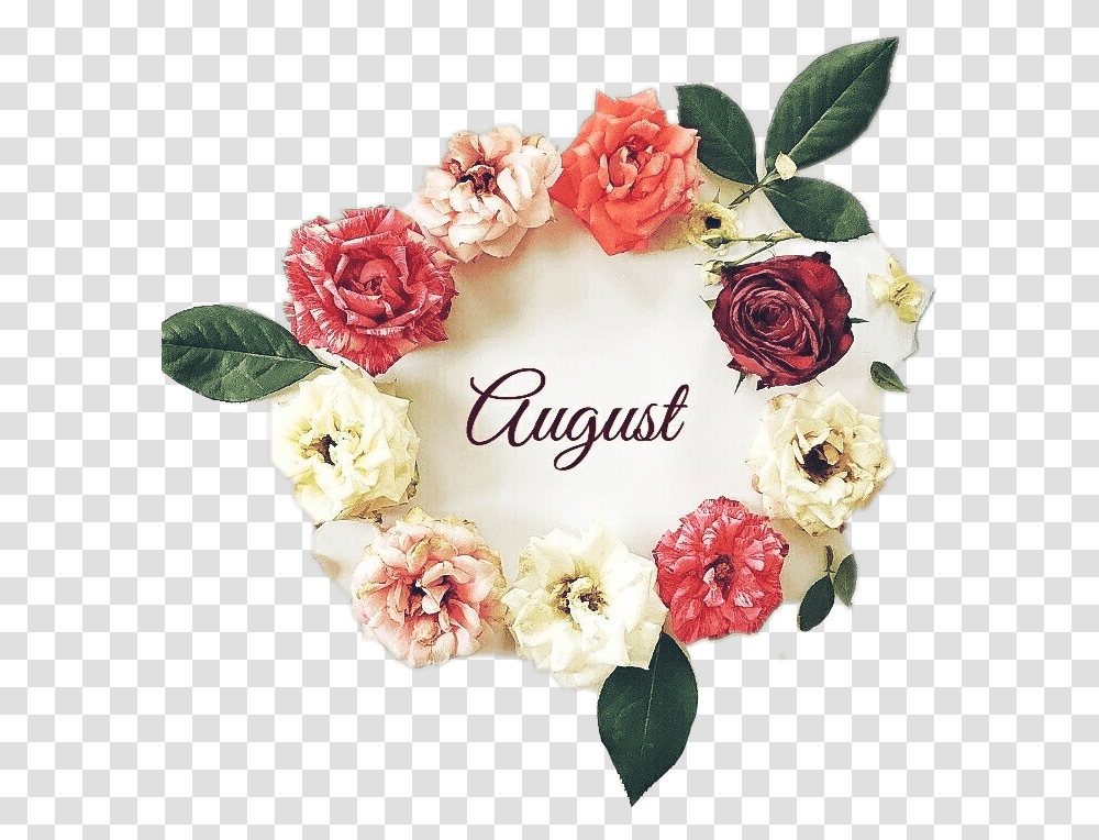 Helloaugust August Aout Agosto Flower Ftestickers Garden Roses, Wreath, Wedding Cake, Dessert, Food Transparent Png